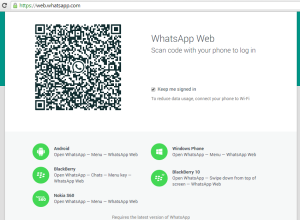 web whatsapp скачать