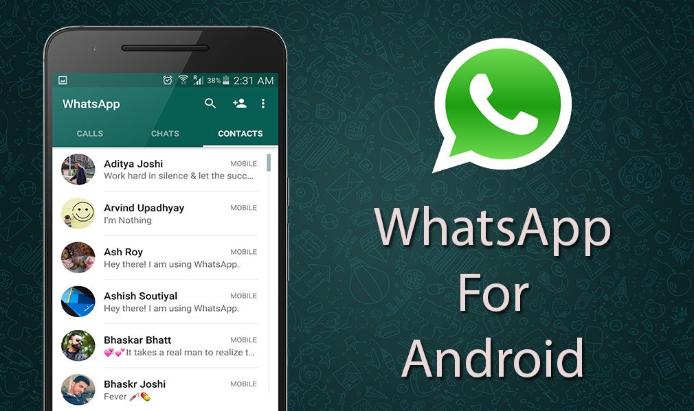 whatsapp download