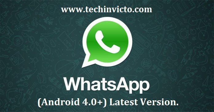 WhatsApp 2.17.126 beta (Android 4.0+) Download Latest version - featured image